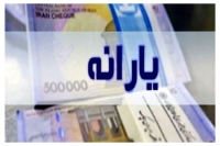 چطور یارانه حذف‌شده را برگردانیم؟ | یک راه تماس با شماره 0216369