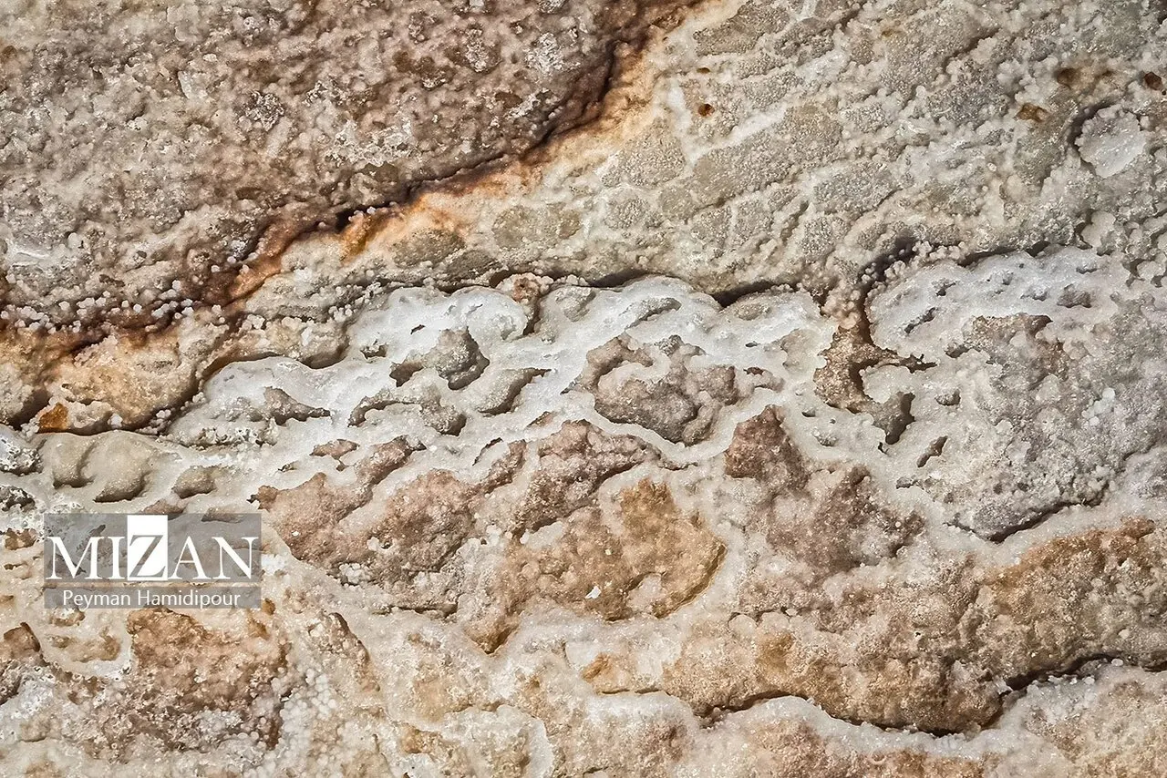 کالشور