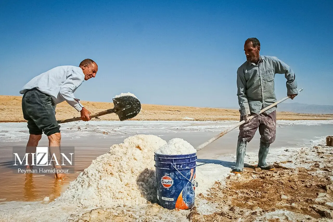 کالشور