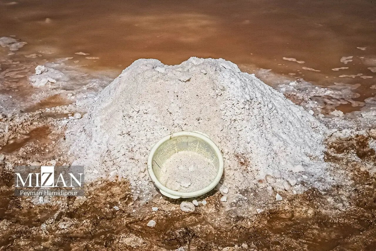 کالشور