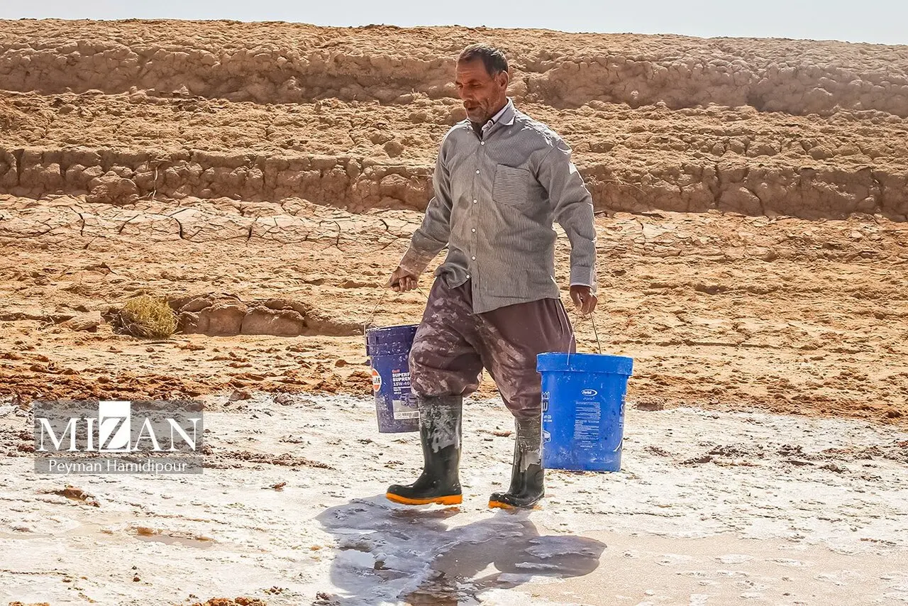 کالشور
