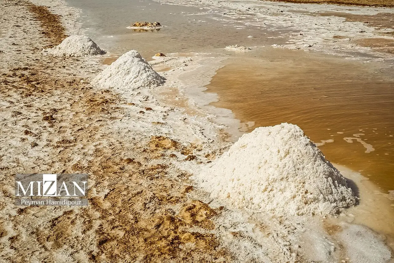 کالشور