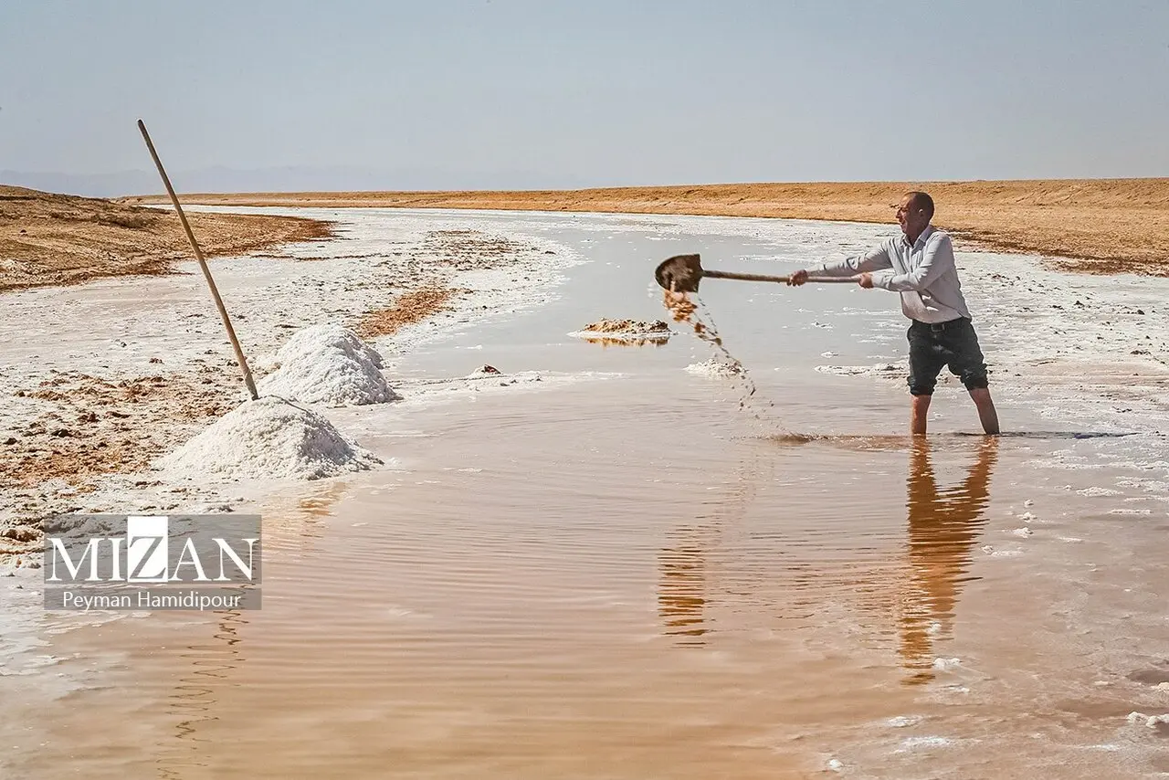 کالشور