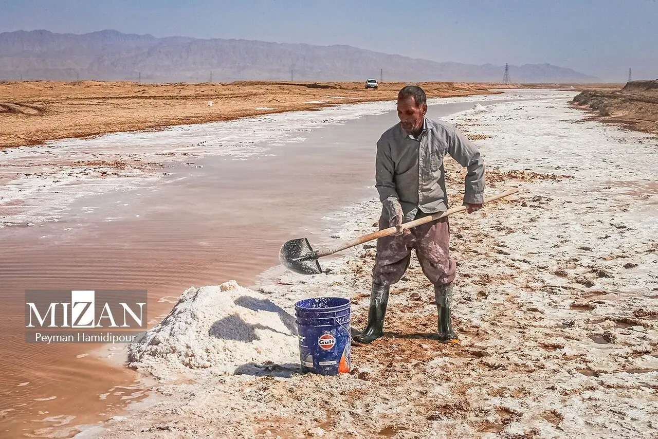 کالشور