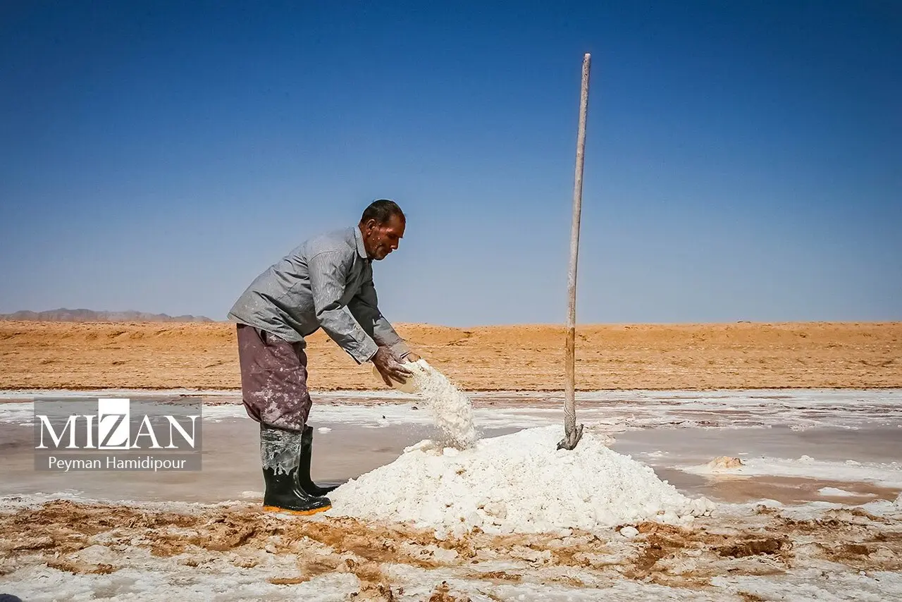 کالشور