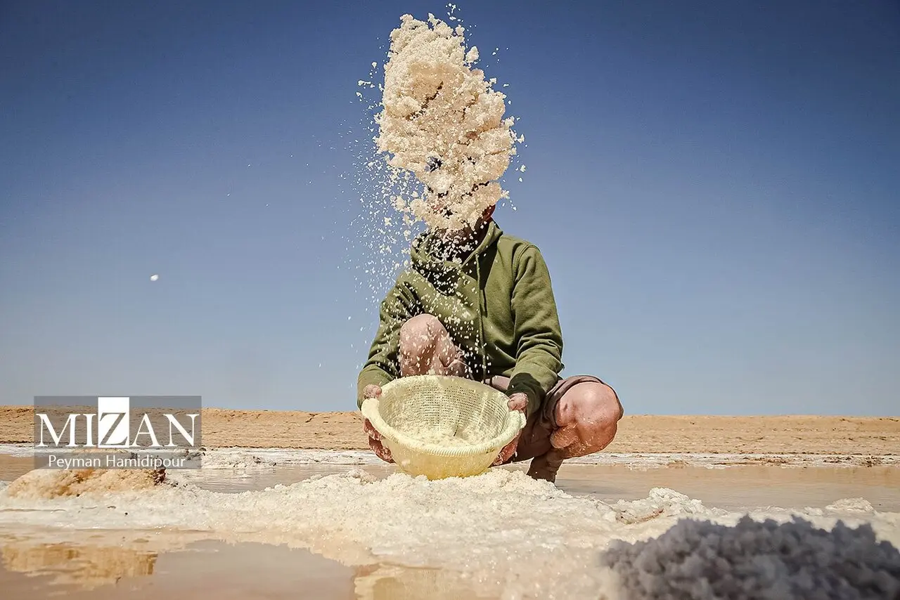 کالشور