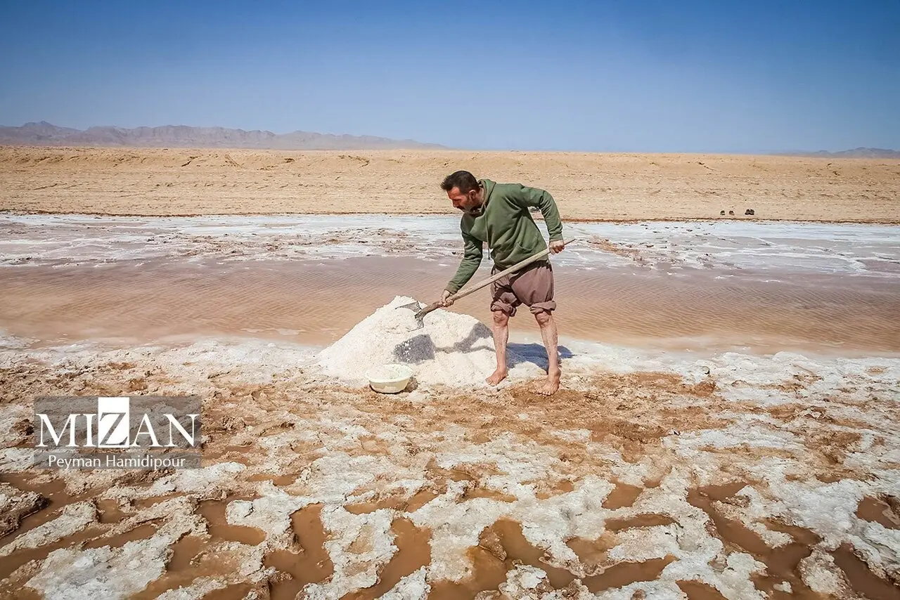 کالشور