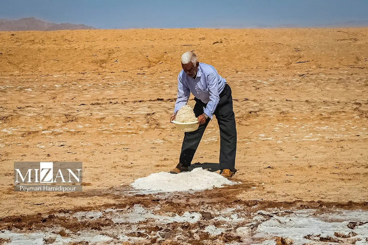 کالشور