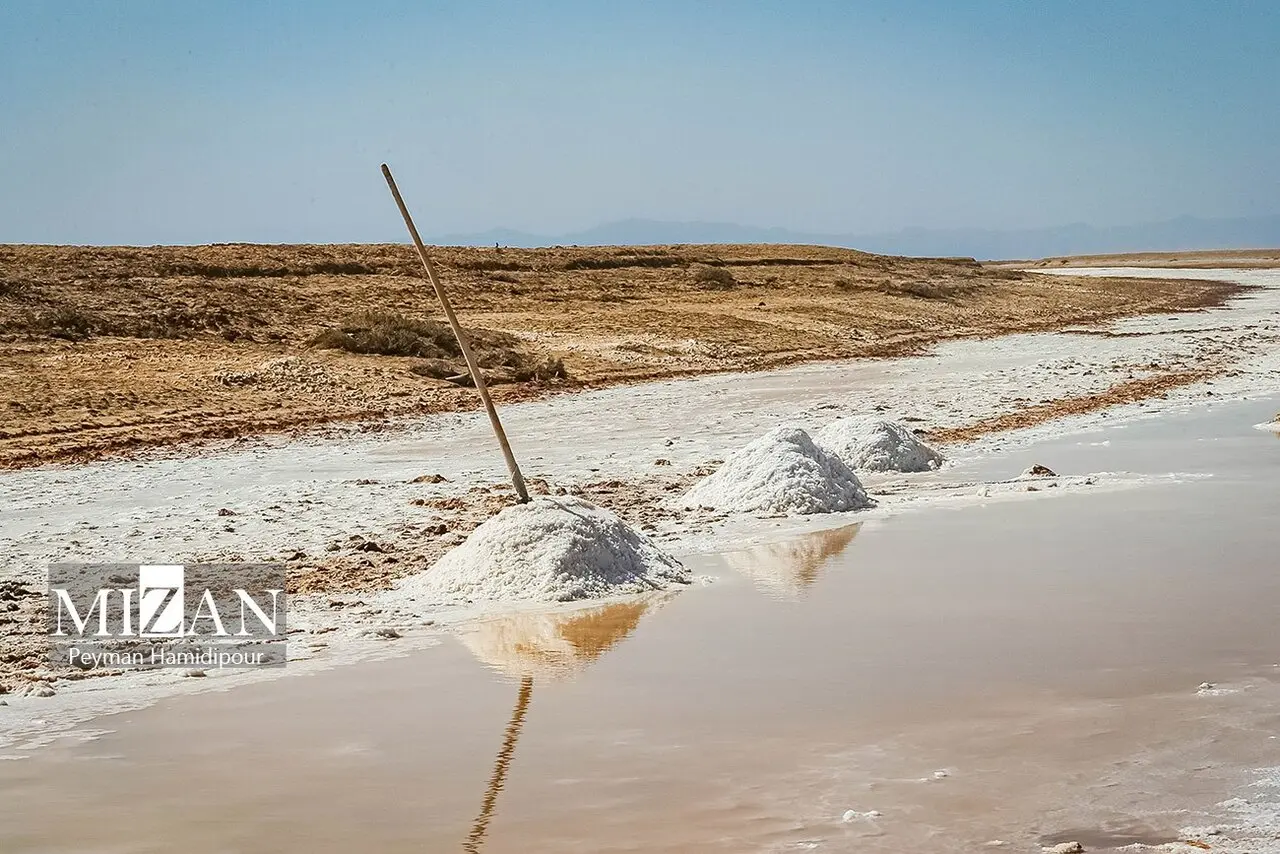 کالشور