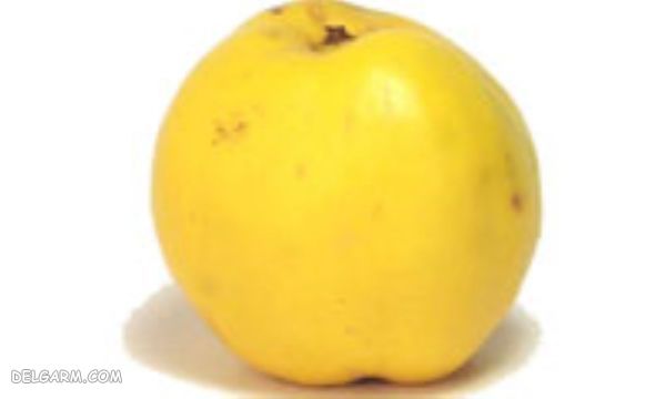 خواص به در بارداری