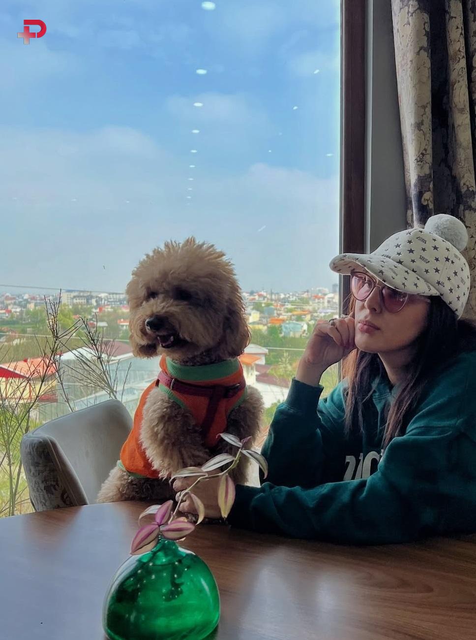 تصاویر و بیوگرافی لیلا بلوکات ؛ همه چیز درباره خانم بازیگر زیبا و جذاب1 