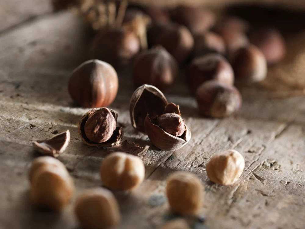 علت تلخی فندق