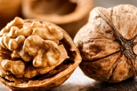 قدرت مغز گردو برای سلامتی را دست‌کم نگیرید