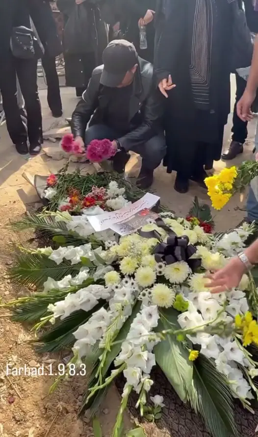 photo_2025-11-12_11-13-25