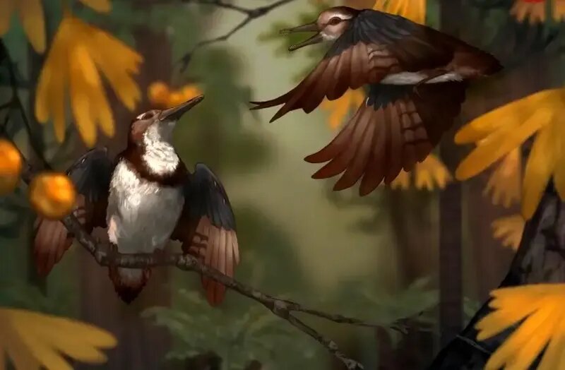 راز پرنده‌ 120 میلیون ساله با 800 سنگ در گلو | عکس