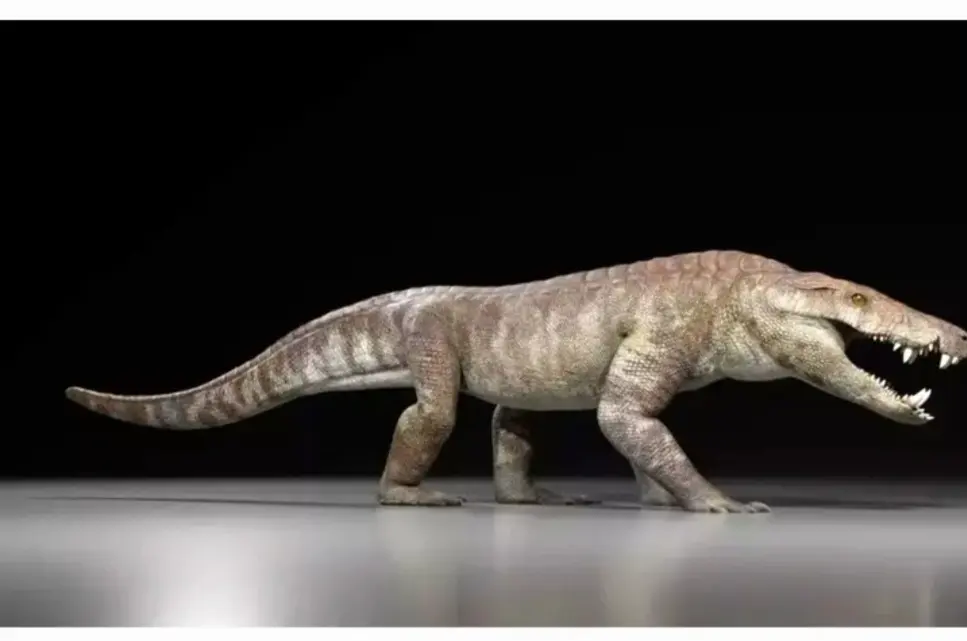 20260202-143126_Gallery