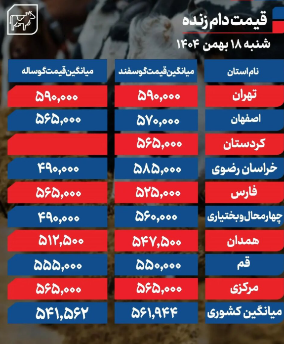 قیمت جدید دام زنده امروز 18 بهمن 1404 + جدول