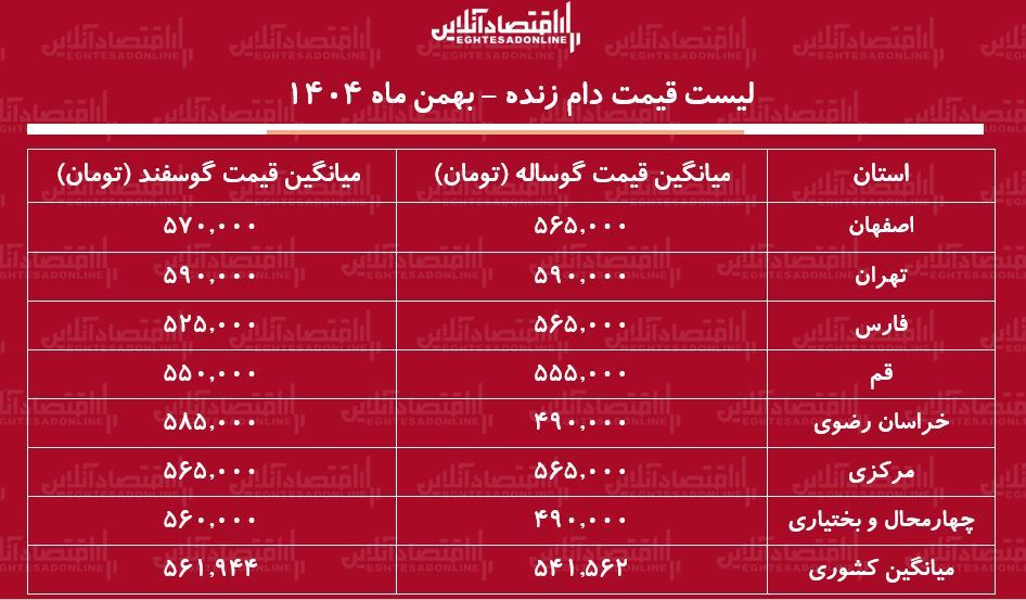 قیمت جدید دام زنده امروز 25 بهمن 1404 / گوسفند زنده کیلویی چند شد؟ + جدول