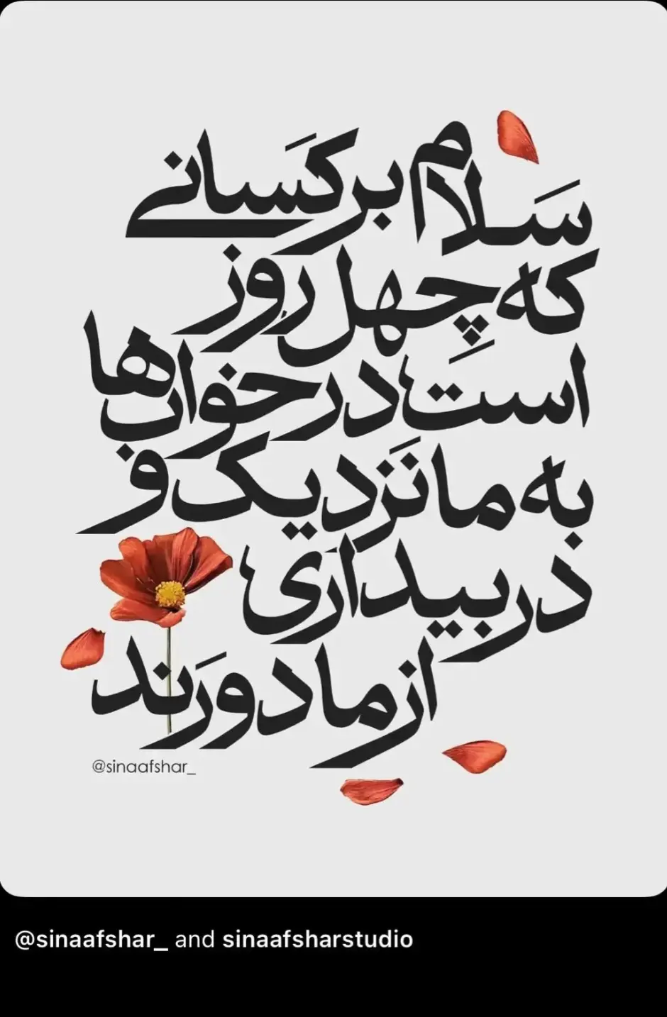 Screenshot_20260219_104004_Gallery