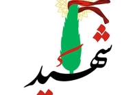 همسر فوتبالیست شهید به شهادت رسید + عکس