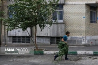 بارش پراکنده باران در استان‌های شمالی طی فردا