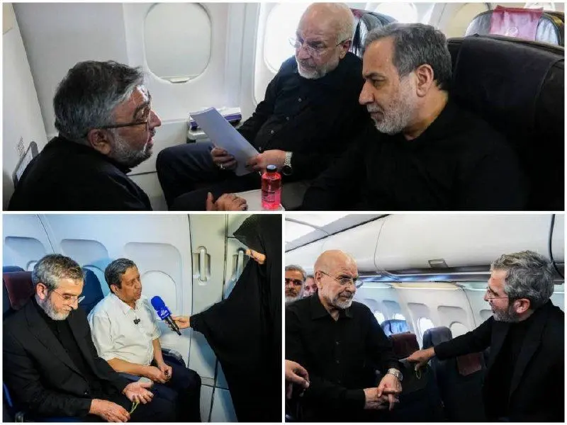 تیم مذاکره کننده ایران