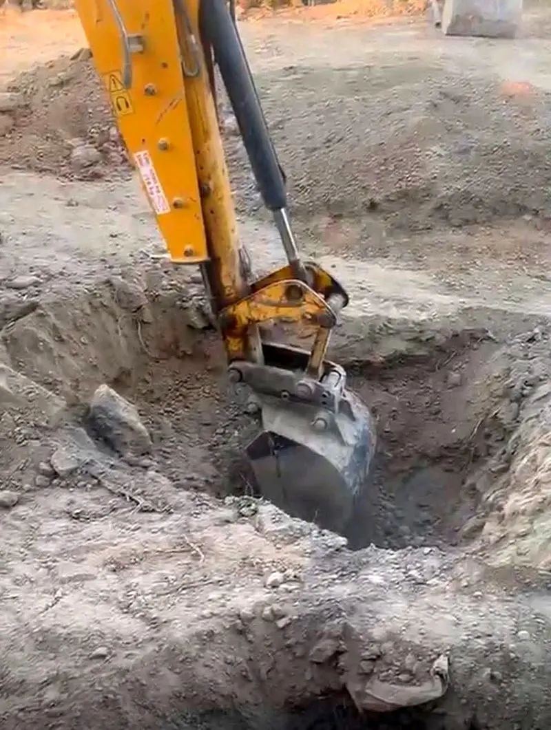 فساد مالی عالیه نصیف