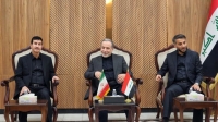 قدردانی عراقچی از مواضع مسئولان، مراجع عظام تقلید و مردم نجف