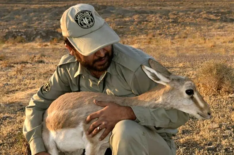 محیط بان 2