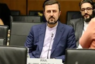 غریب‌آبادی: واشنگتن در پی خفه‌کردن عدالت بین‌المللی است + عکس