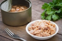 آغاز ثبت سفارش واردات ماهی تون از 31 تیرماه