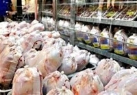 قیمت مرغ تازه و بسته‌بندی و قطعه‌بندی اعلام شد