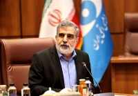 کمالوندی: آمریکا در کنفرانس عمومی آژانس شکست خورد