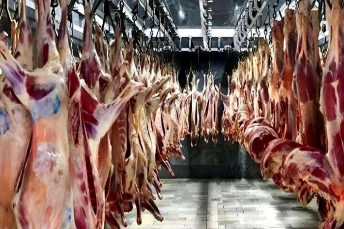 قیمت گوشت قرمز اول هفته | قیمت گوشت آبگوشتی چند؟